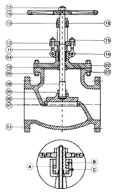 Class 300 Globe Valve ֹ