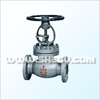 Class 300 Globe Valve ֹ