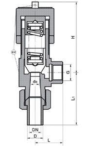 A21 ΢ʽưȫ